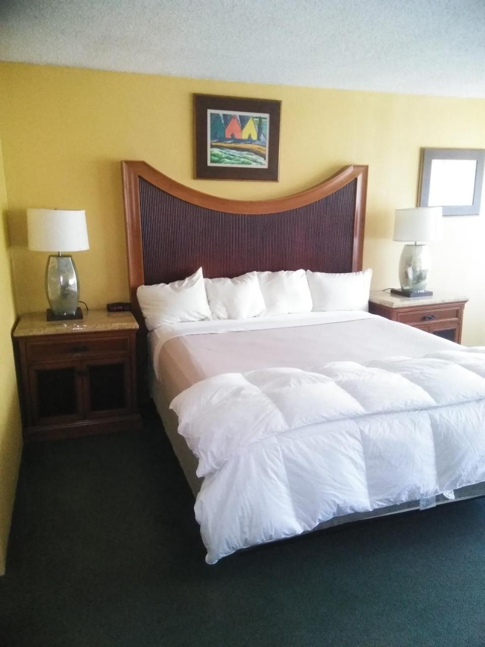 King Room City View