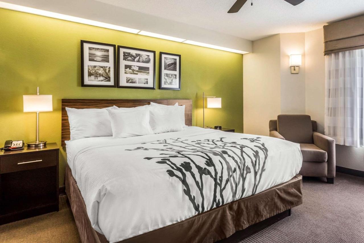 Standard King Room,1275926572:JPEG