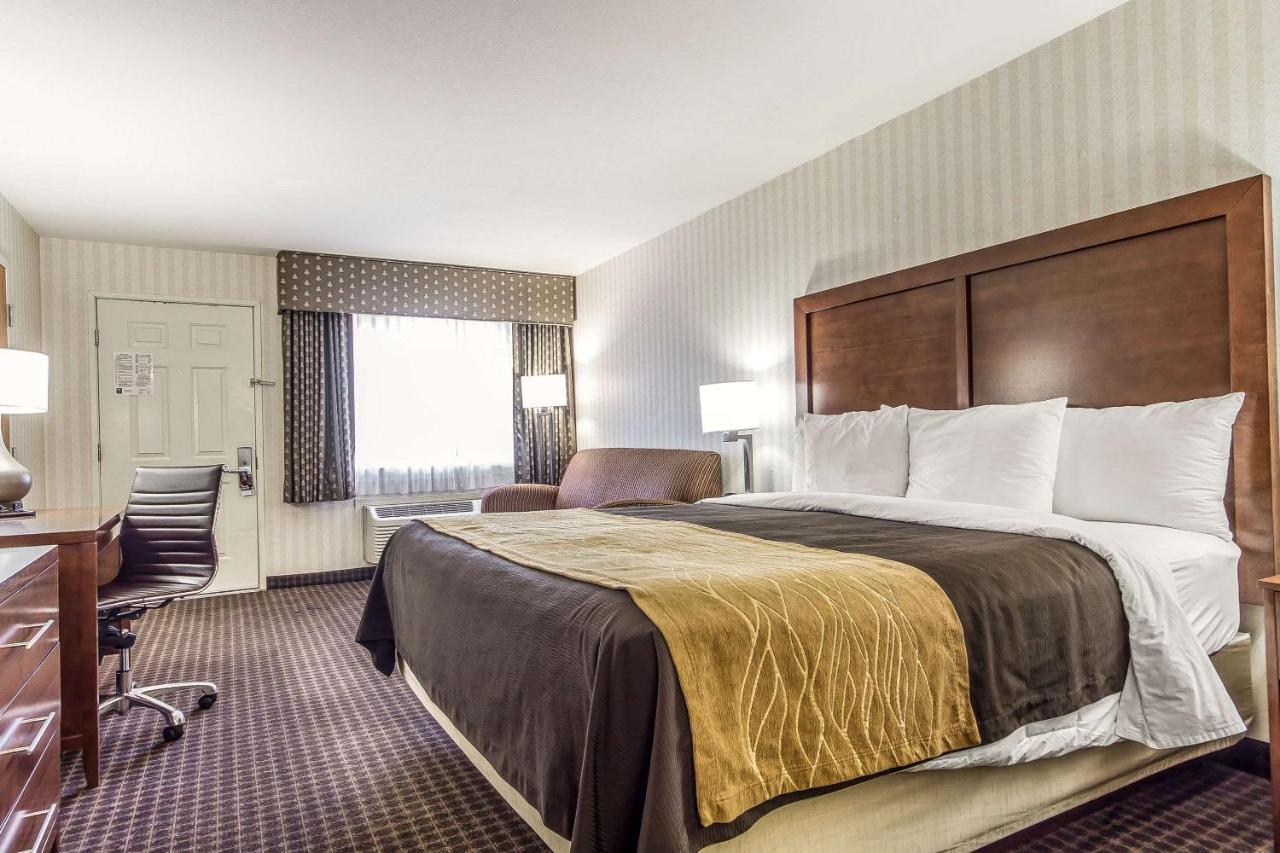 Deluxe King Room Spa Bath