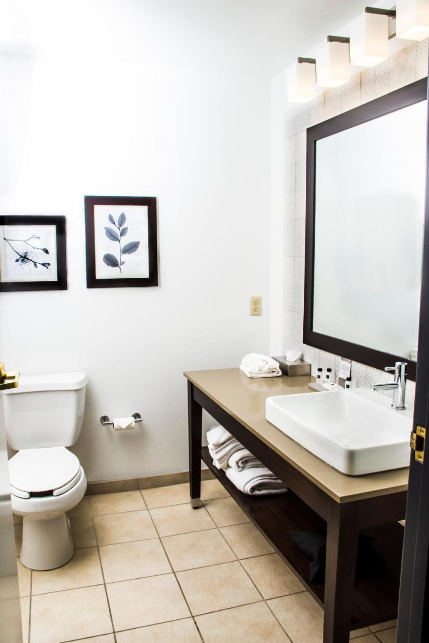 King Studio Suite Non-Smoking