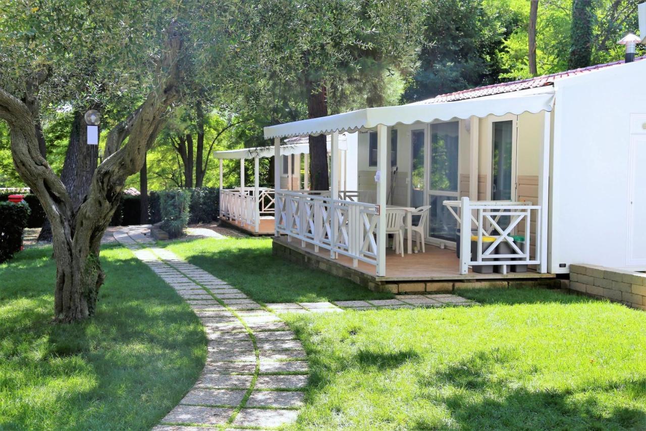 Superior Mobile Home,1774490299:JPEG