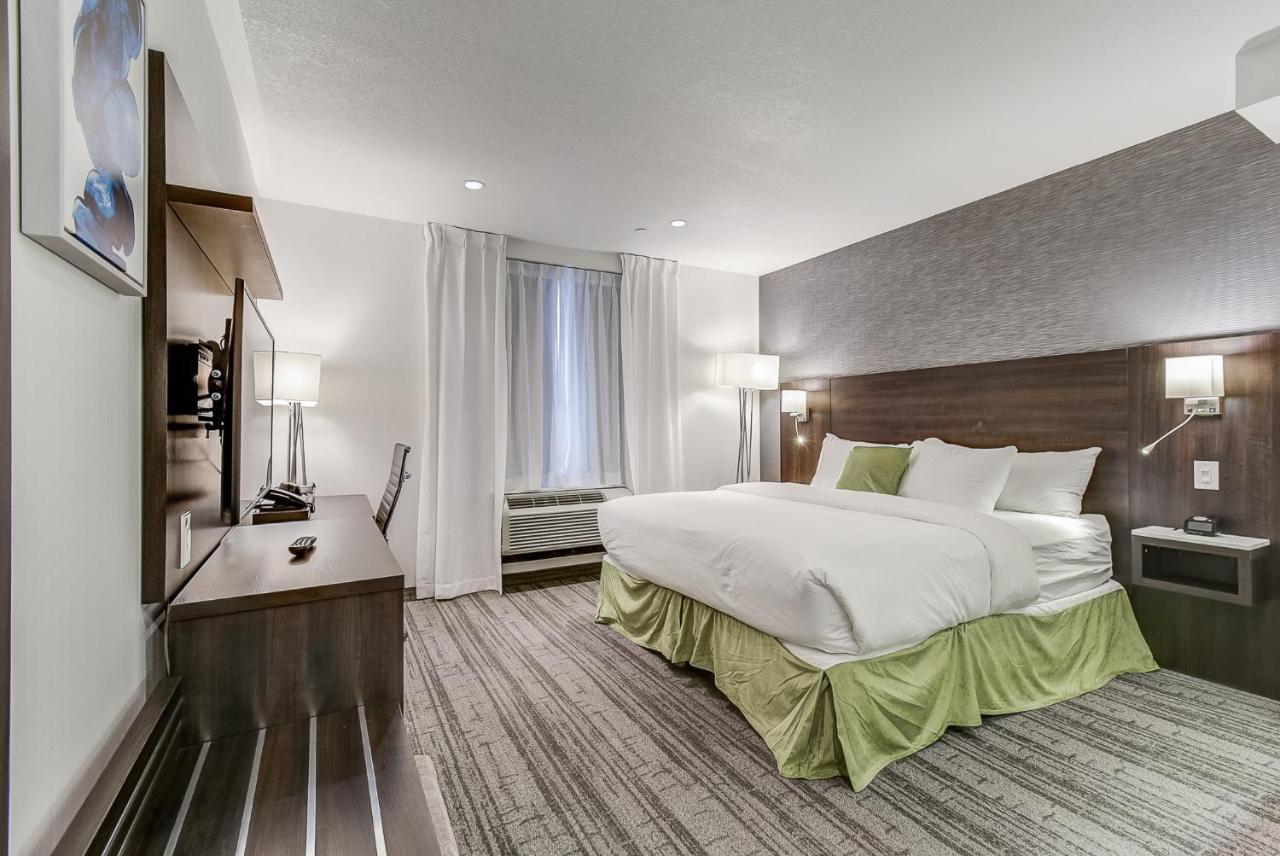 Standard King Bed