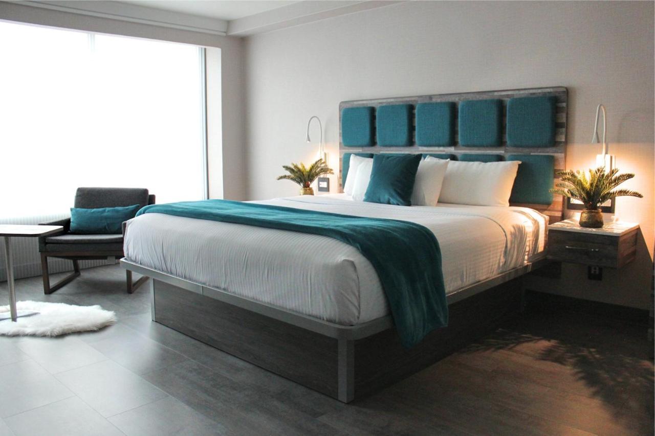 Signature Collection 1 King Bed