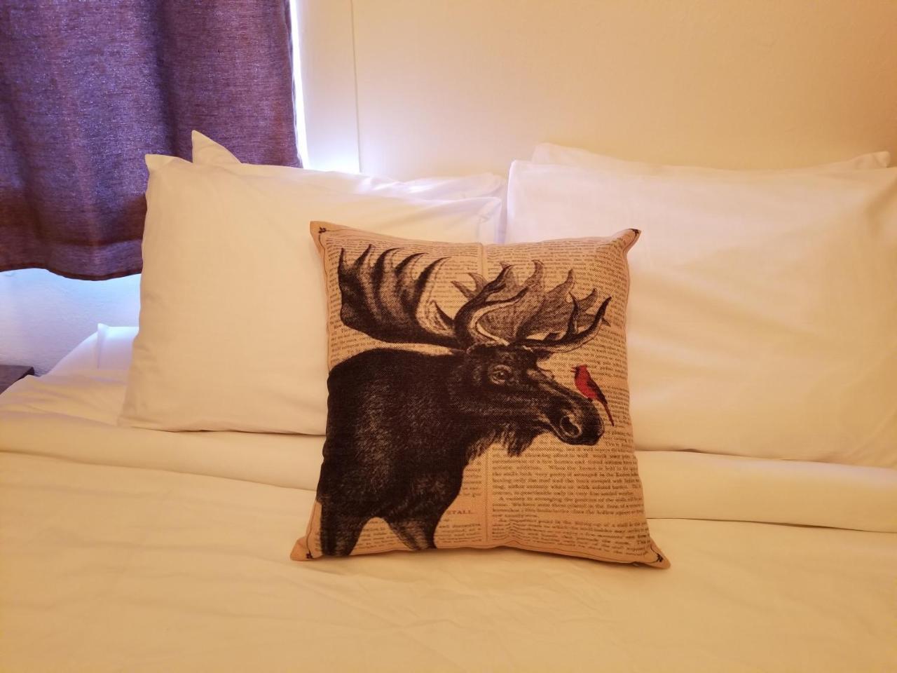 Budget Double Room