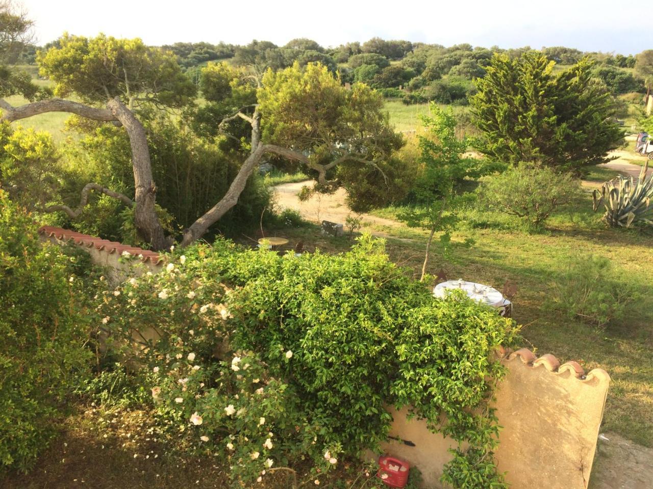 Double Room Garden View