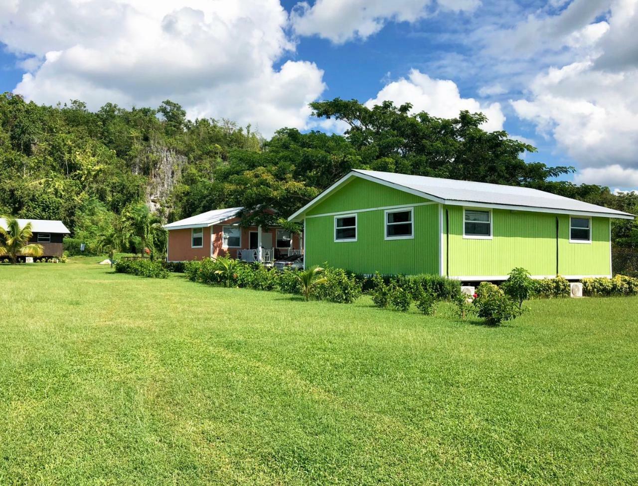 Garden View Premium Cottage