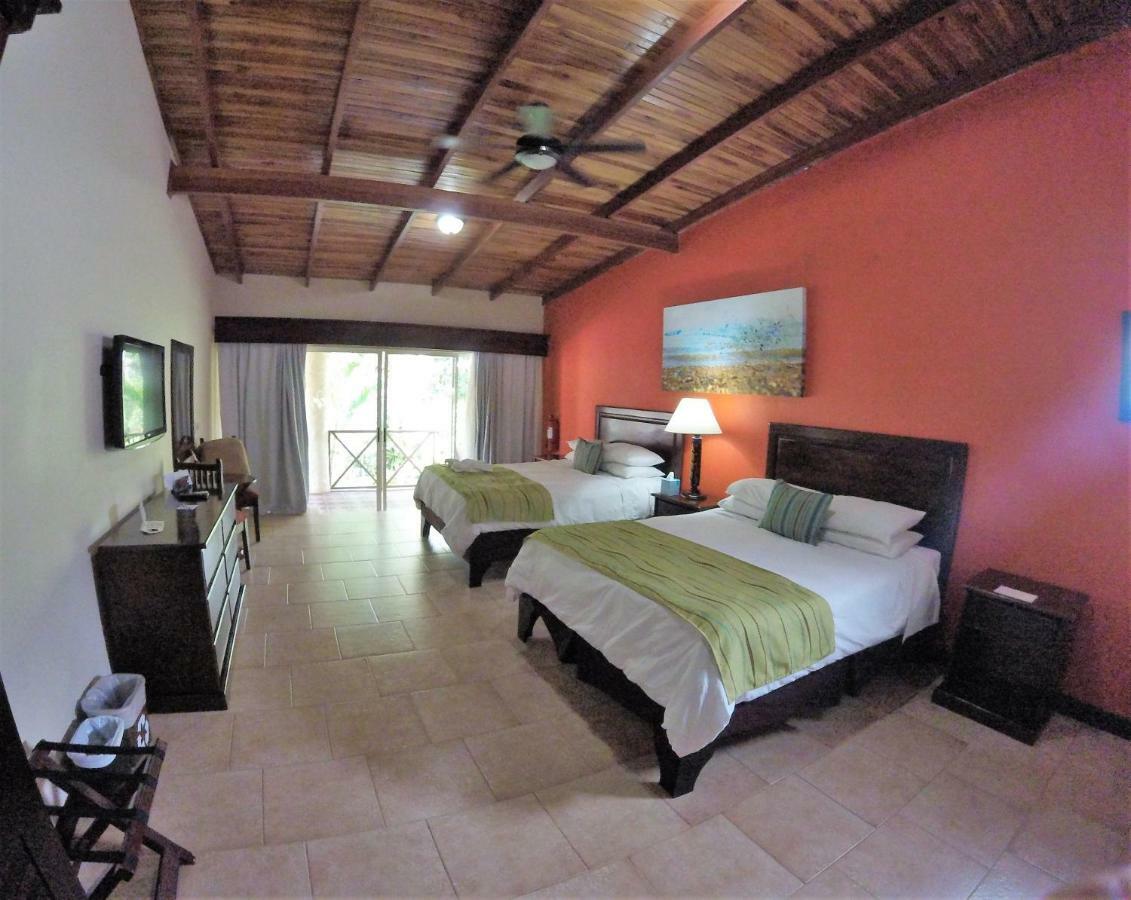 Twin Room Garden View
