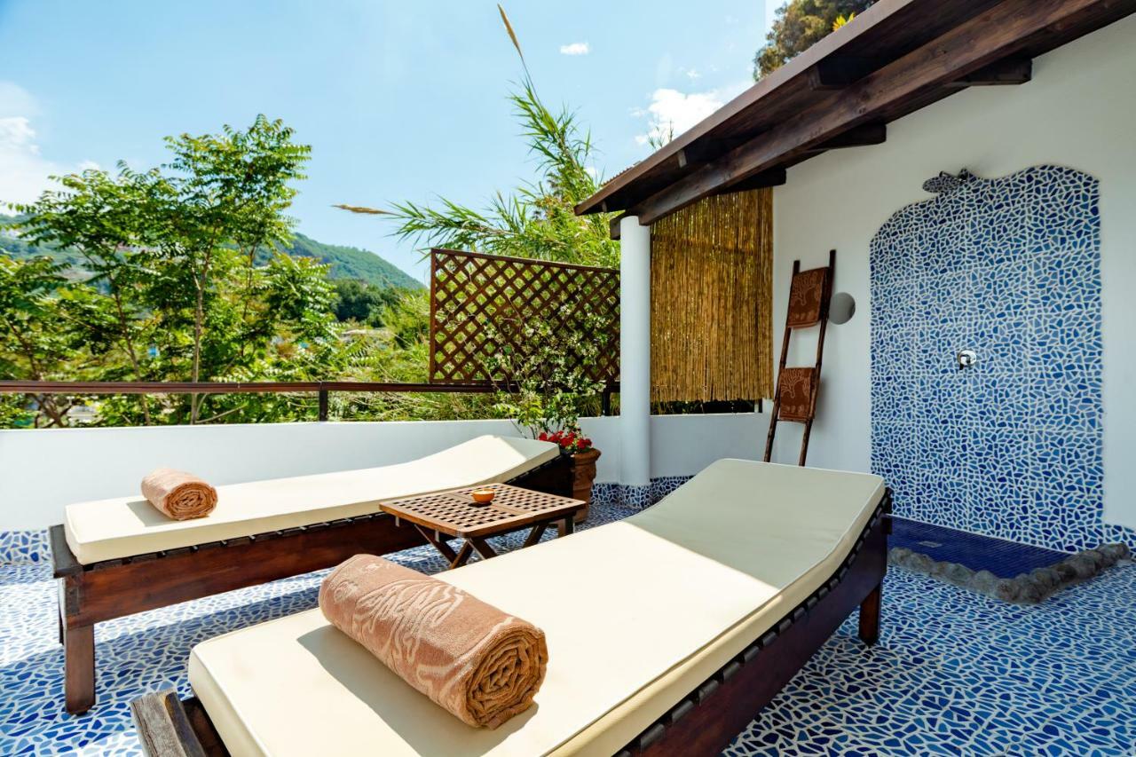 Junior Suite Terrace