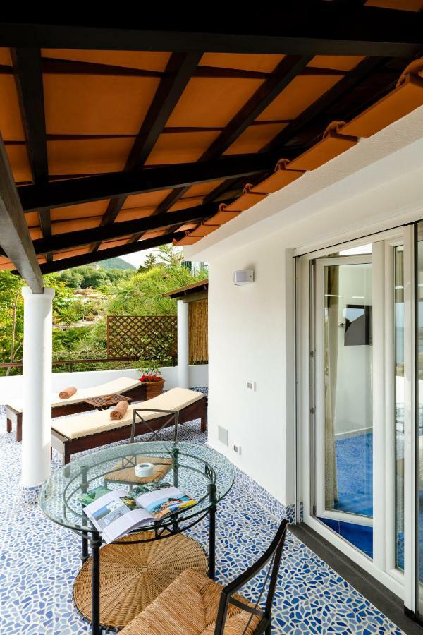 Junior Suite Terrace