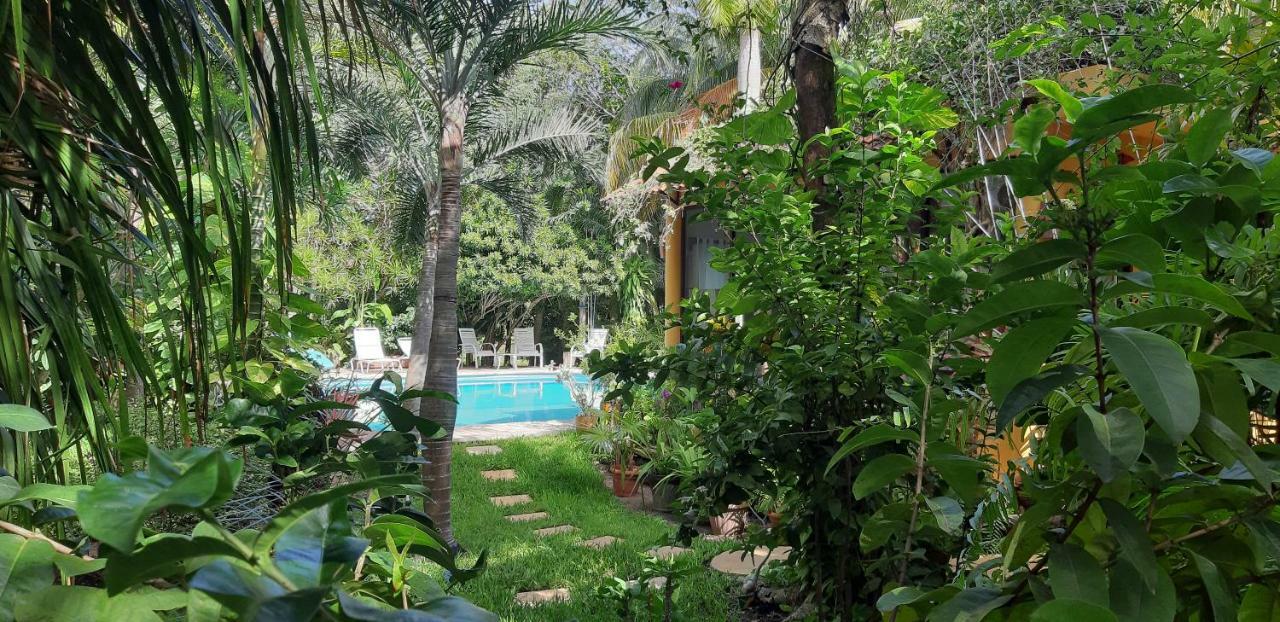 Triple Room Garden View