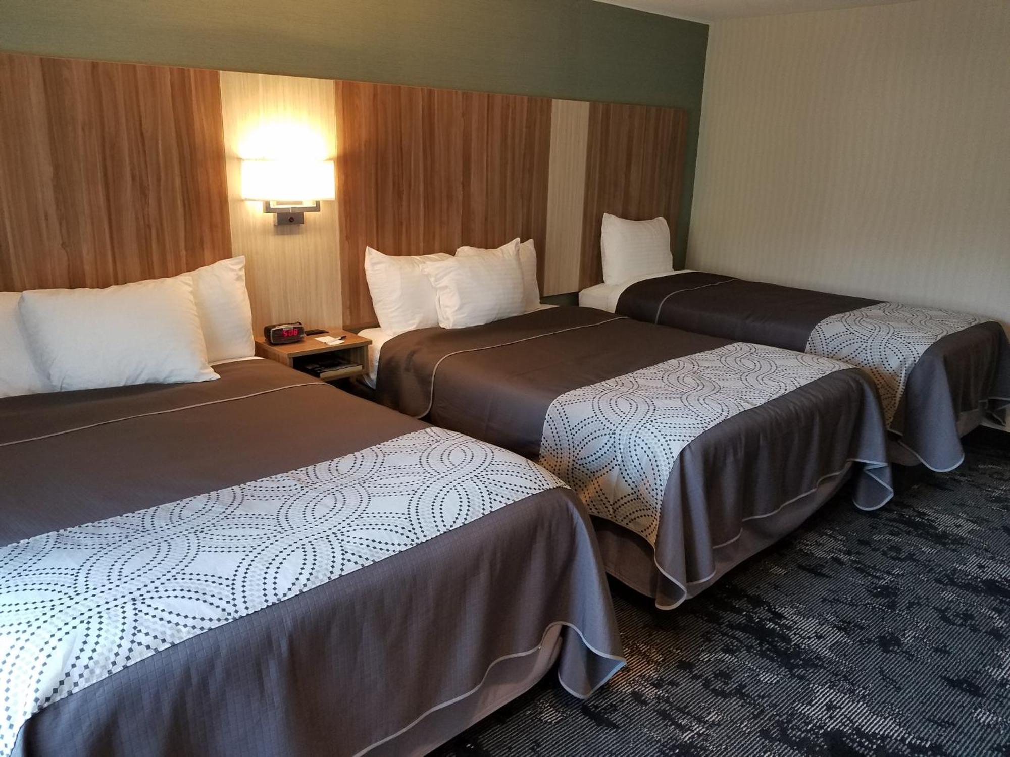Family Room Two Full One Twin Bed