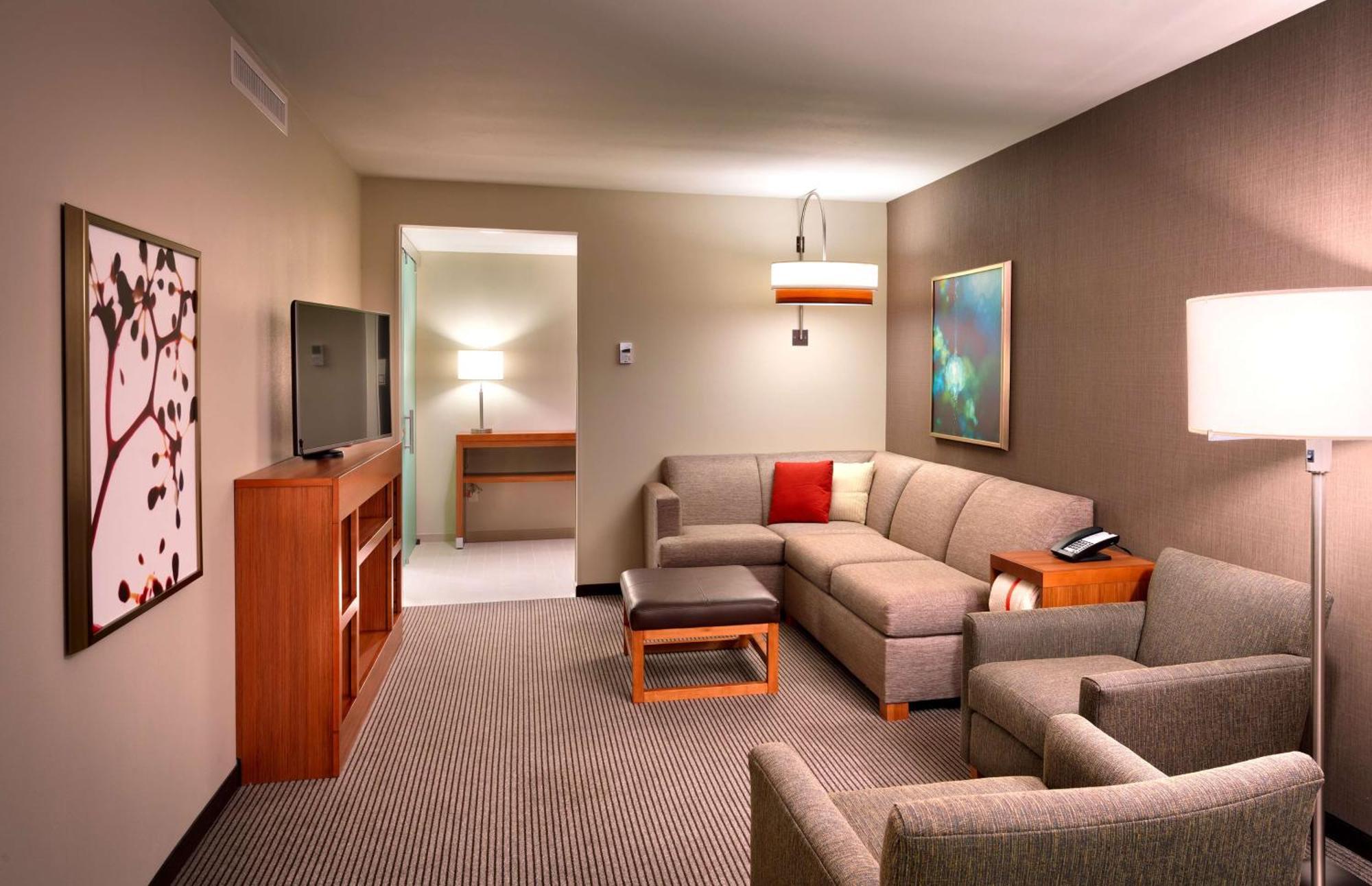 One-Bedroom King Suite Sofa Bed