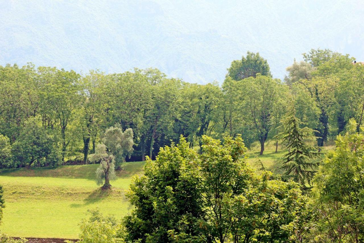 Double Room Mountain View