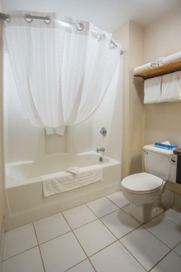 Standard  Double Room