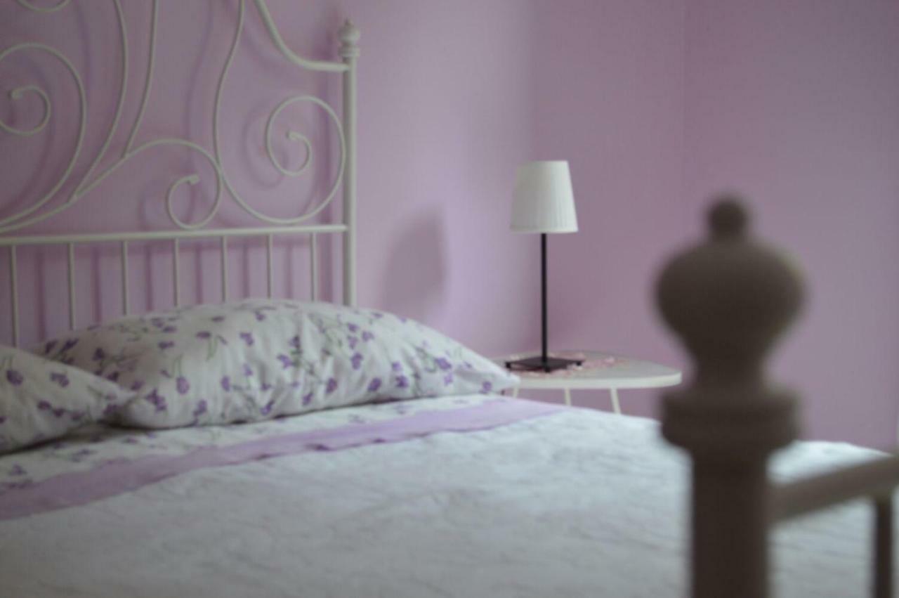 Standard Double Room,850779293:JPEG