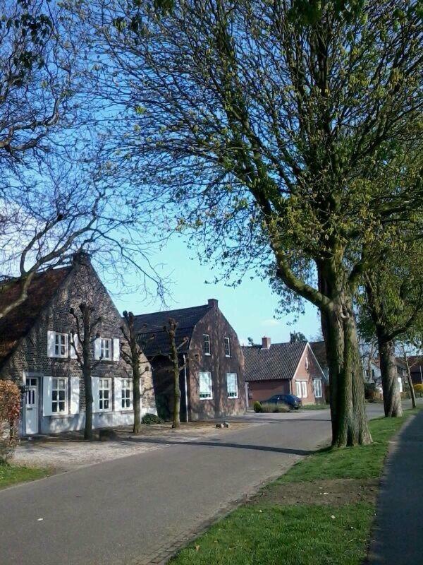 Deluxe Double or Twin Room,851090288:JPEG