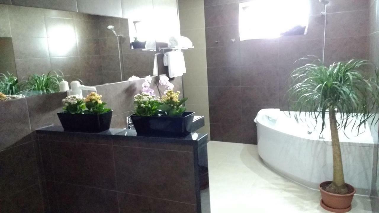 Double Room Mountain View