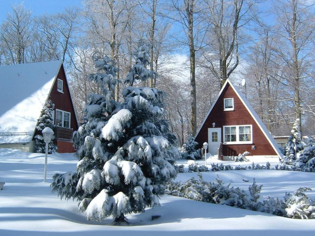 Bungalow