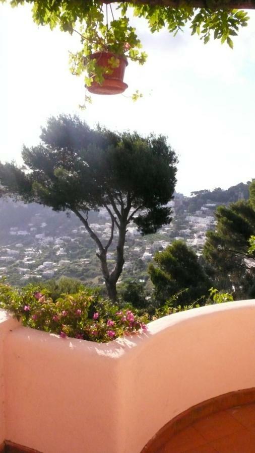 Double Room Garden View