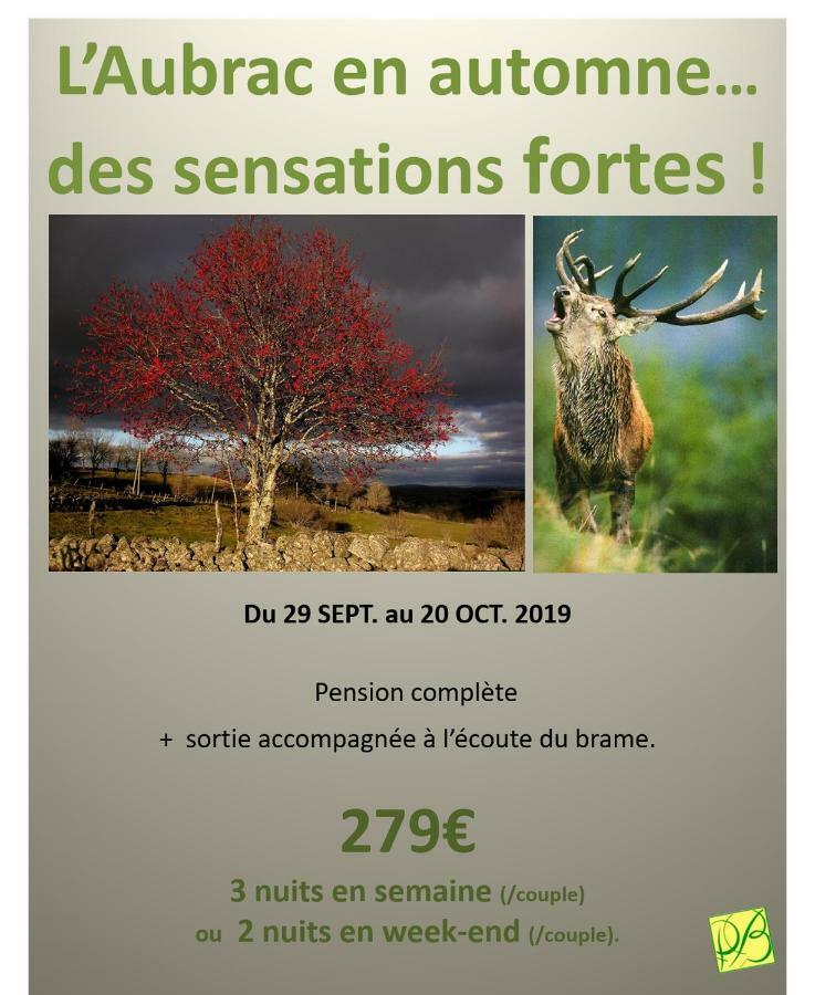 Chambre Double – Pack Brame du Cerf