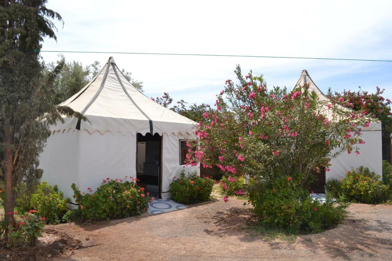 Superior Nomade Tent