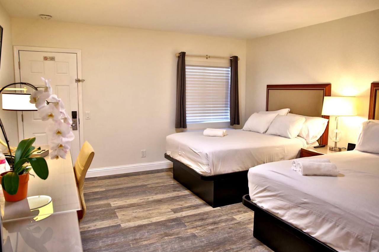 Studio Suite Two Double Beds Non-Smoking