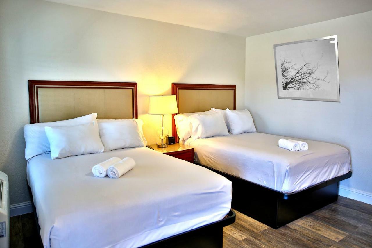 Studio Suite Two Double Beds Non-Smoking