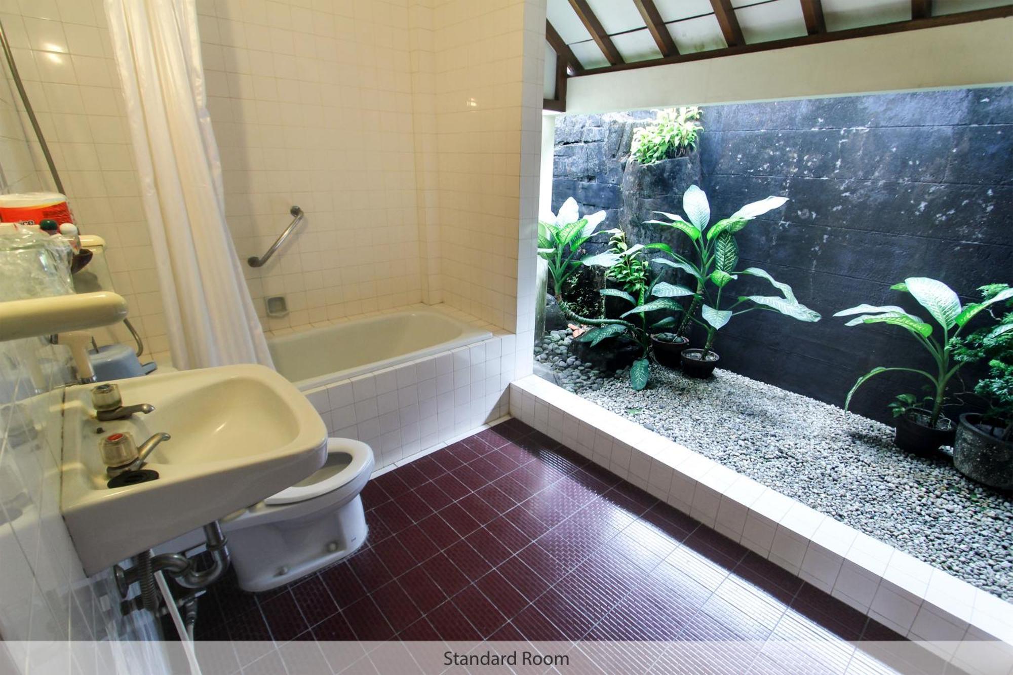 Superior Double or Twin Room Garden View