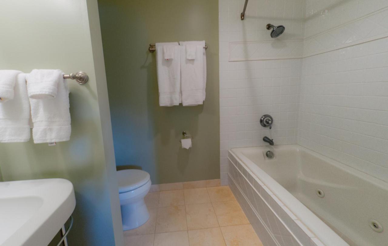 King Room with Sea View - Not Pet Friendly