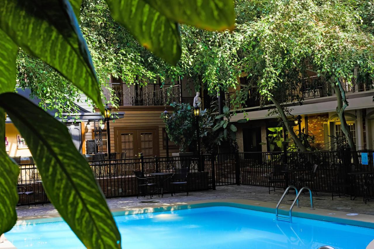 King Room Pool View