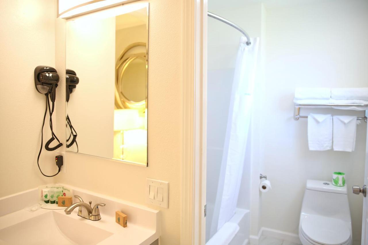 Studio Suite Two Double Beds Non-Smoking