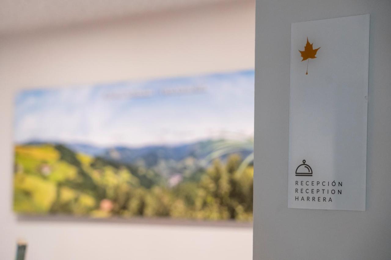 Double or Twin Room Mountain View
