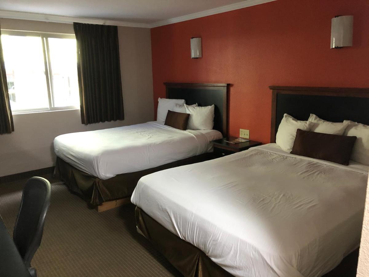 Standard Double Room Two Double Beds