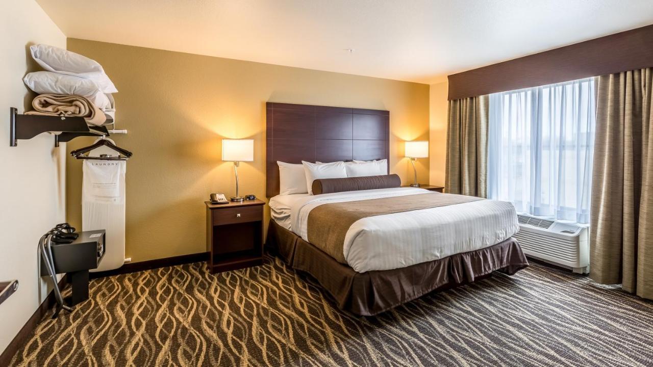 One-Bedroom Suite