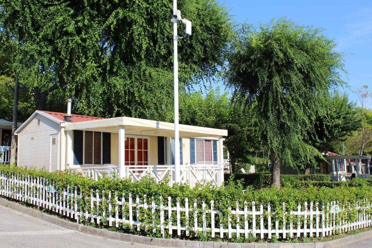 Standard Mobile Home,1742825178:JPEG