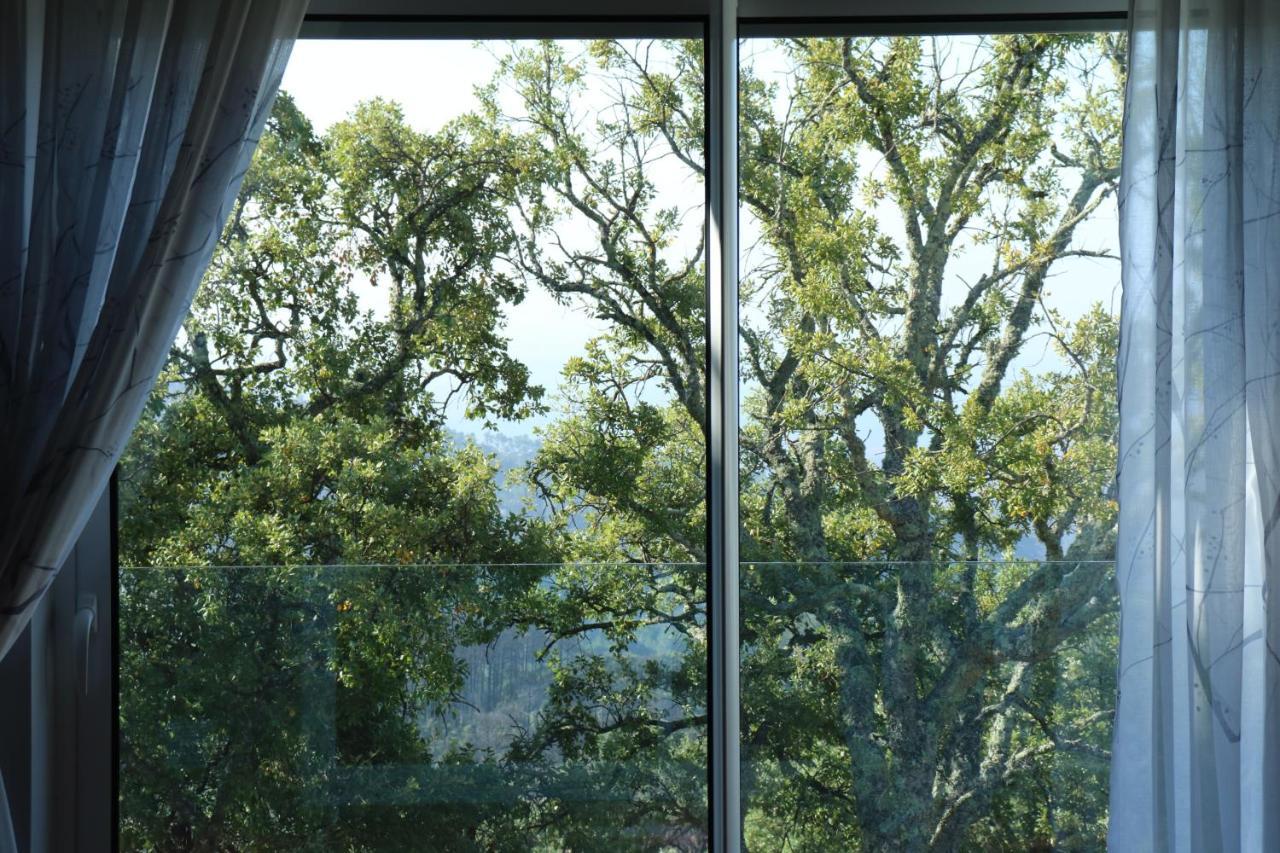 Studio Balcony