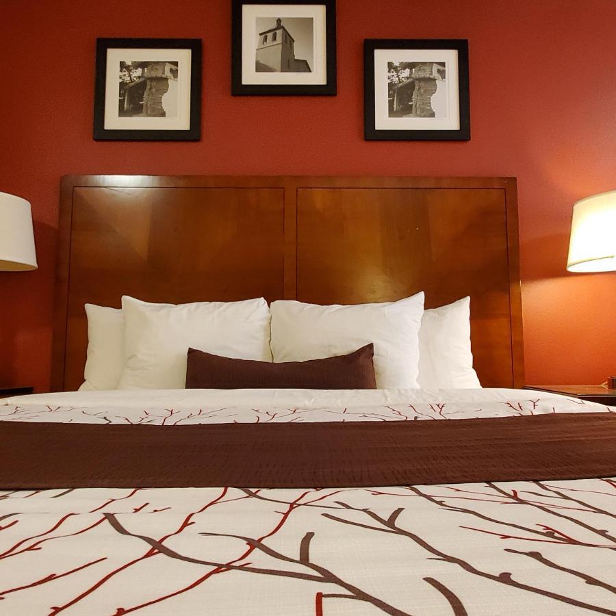 Deluxe King Room Sofa Bed