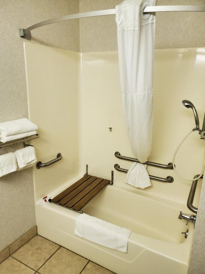 1 Queen Bed Mobility Accessible Room Pet-Friendly Non-Smoking