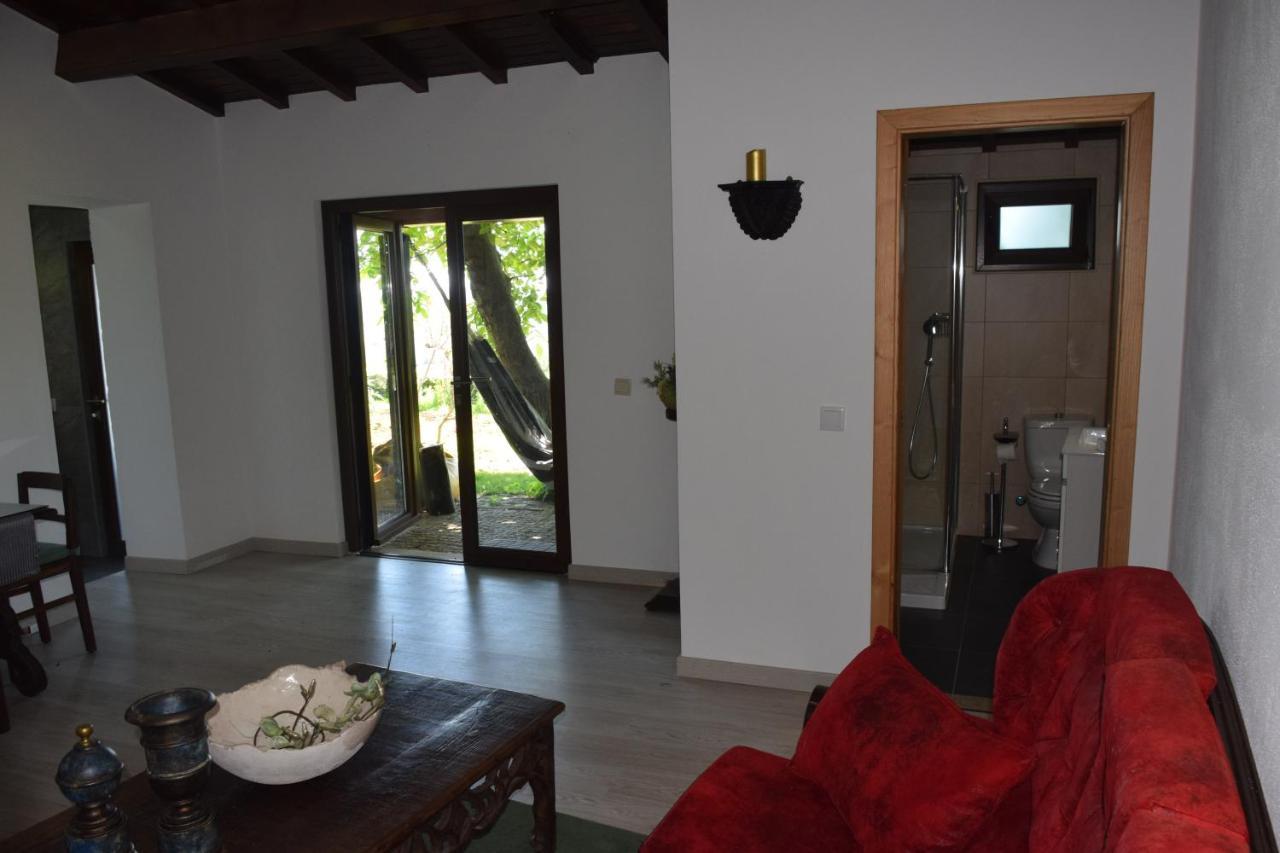 Deluxe One-Bedroom Villa Villa Camila