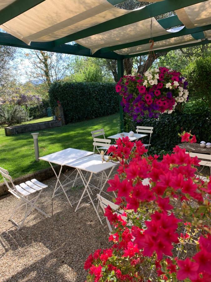 Twin Room Garden View
