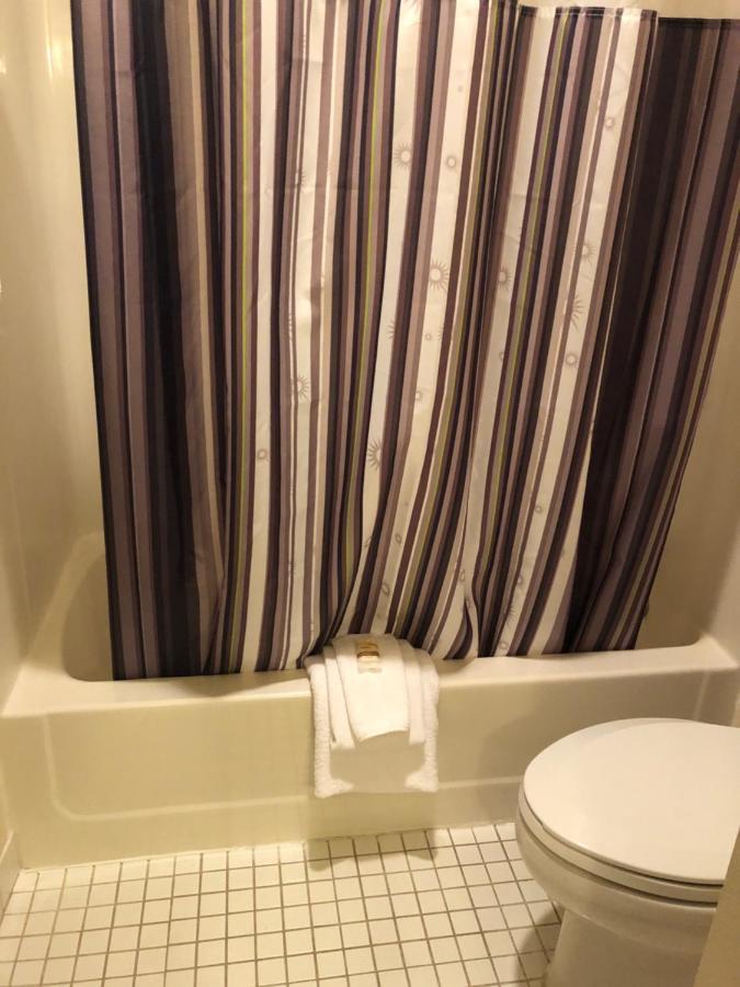 King Suite with City View - Non-Smoking,996800473:JPEG