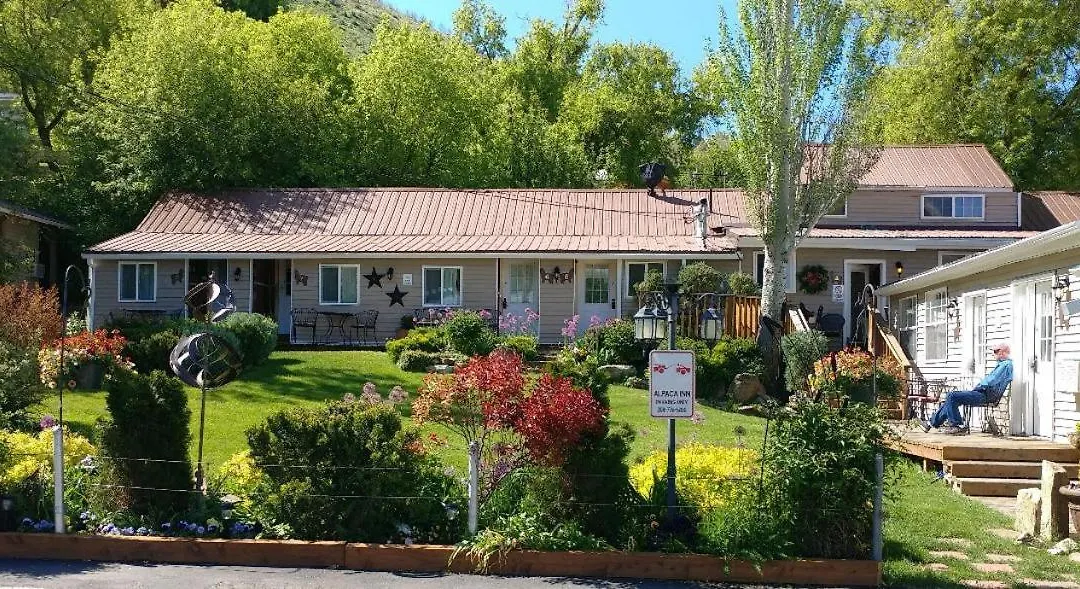 Alpaca Inn, The-1