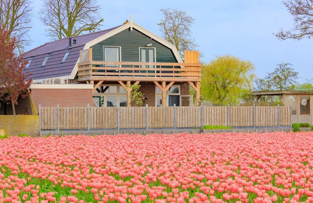 B&B Blossom-1