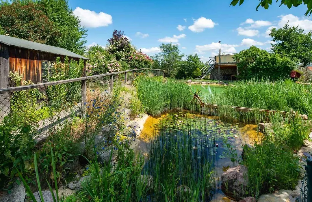 Landhotel Gut Wildberg mit Badeteich und großem Garten-1