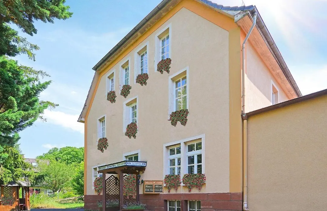 Pension Zum Saale Blick-1