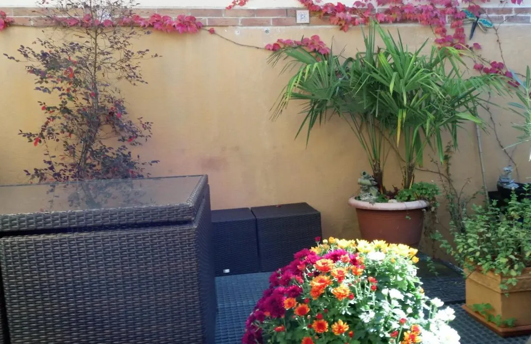 Autan des Couleurs-1