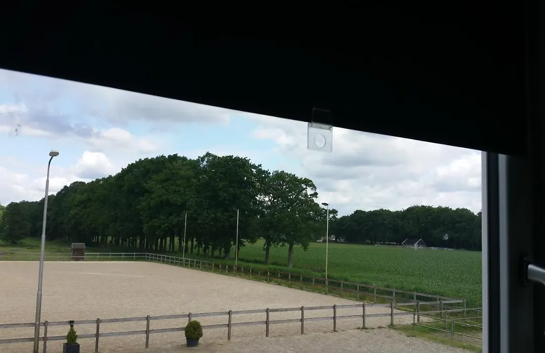 B&B Manege Groenewoude-1