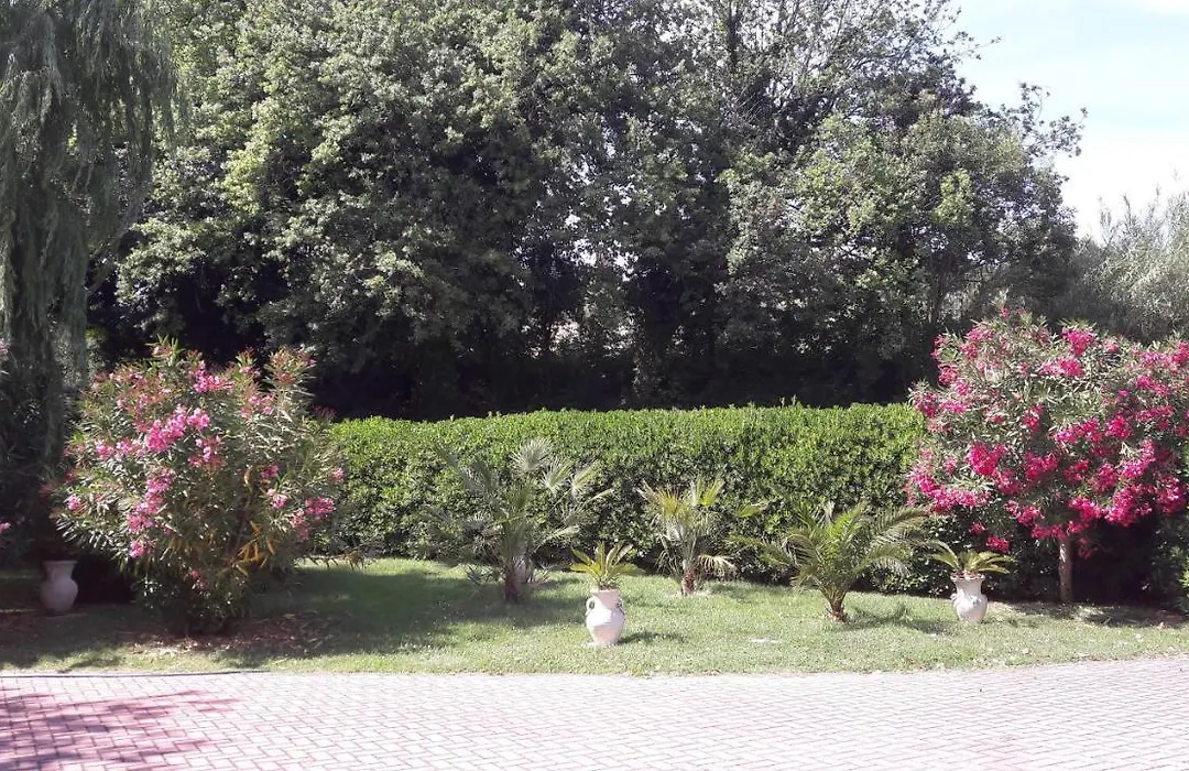 Villa Fabbri-1