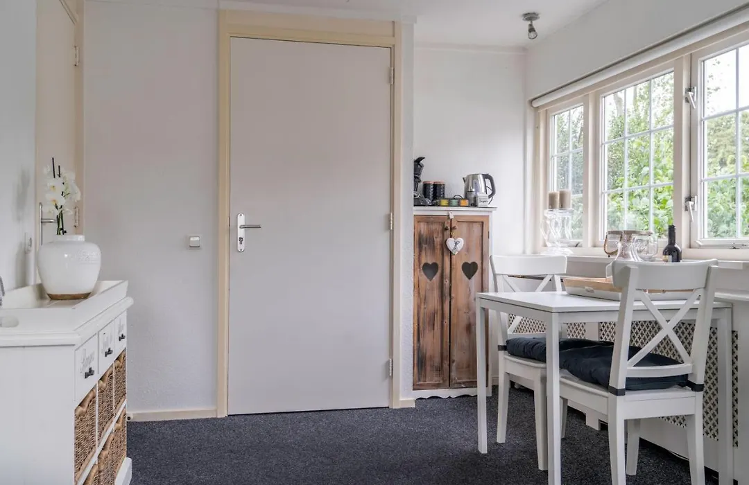 Centrum-Mariastraat-Apeldoorn-1