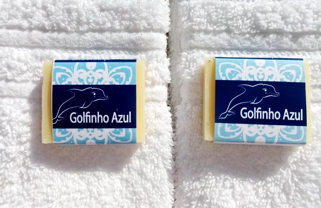 Golfinho Azul-1